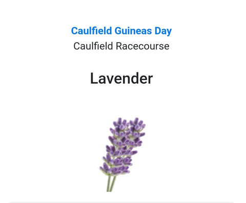 CAULFIELD GUINEAS DAY - Lavendar Buttonhole