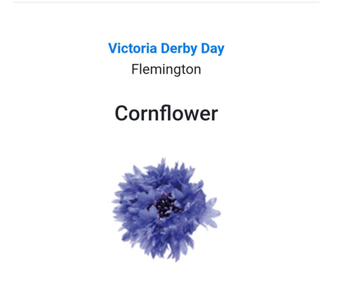 DERBY DAY - Cornflower Buttonhole