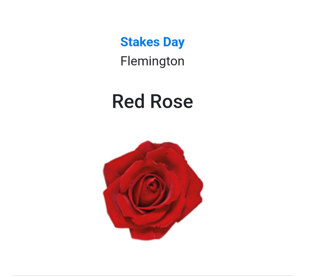 STAKES DAY - Red Rose buttonhole