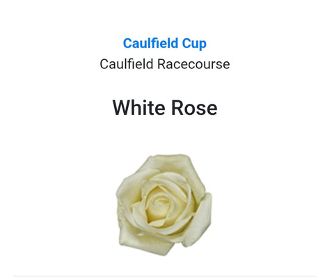 CAULFIELD CUP - White Rose Buttonhole